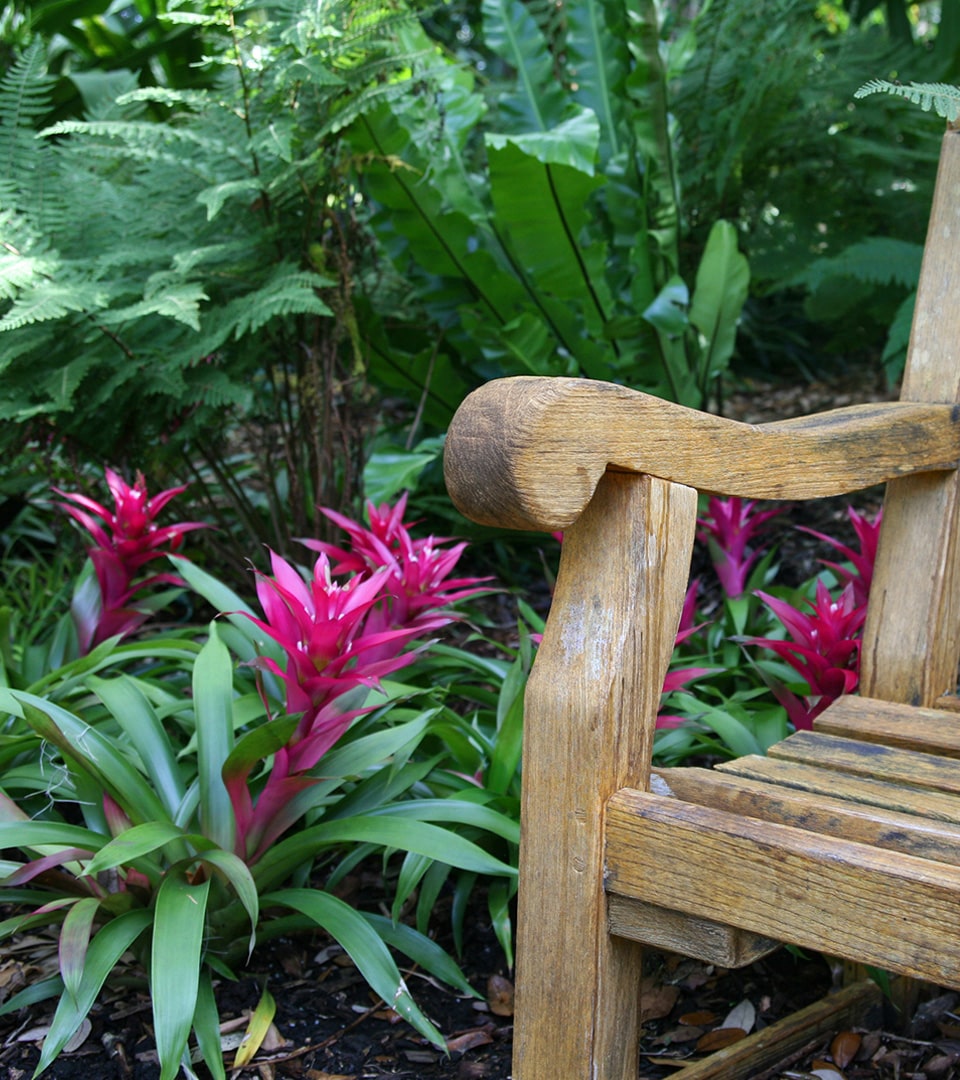 bench and flowers the gardens