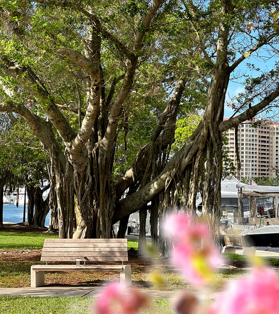 Park in sarasota