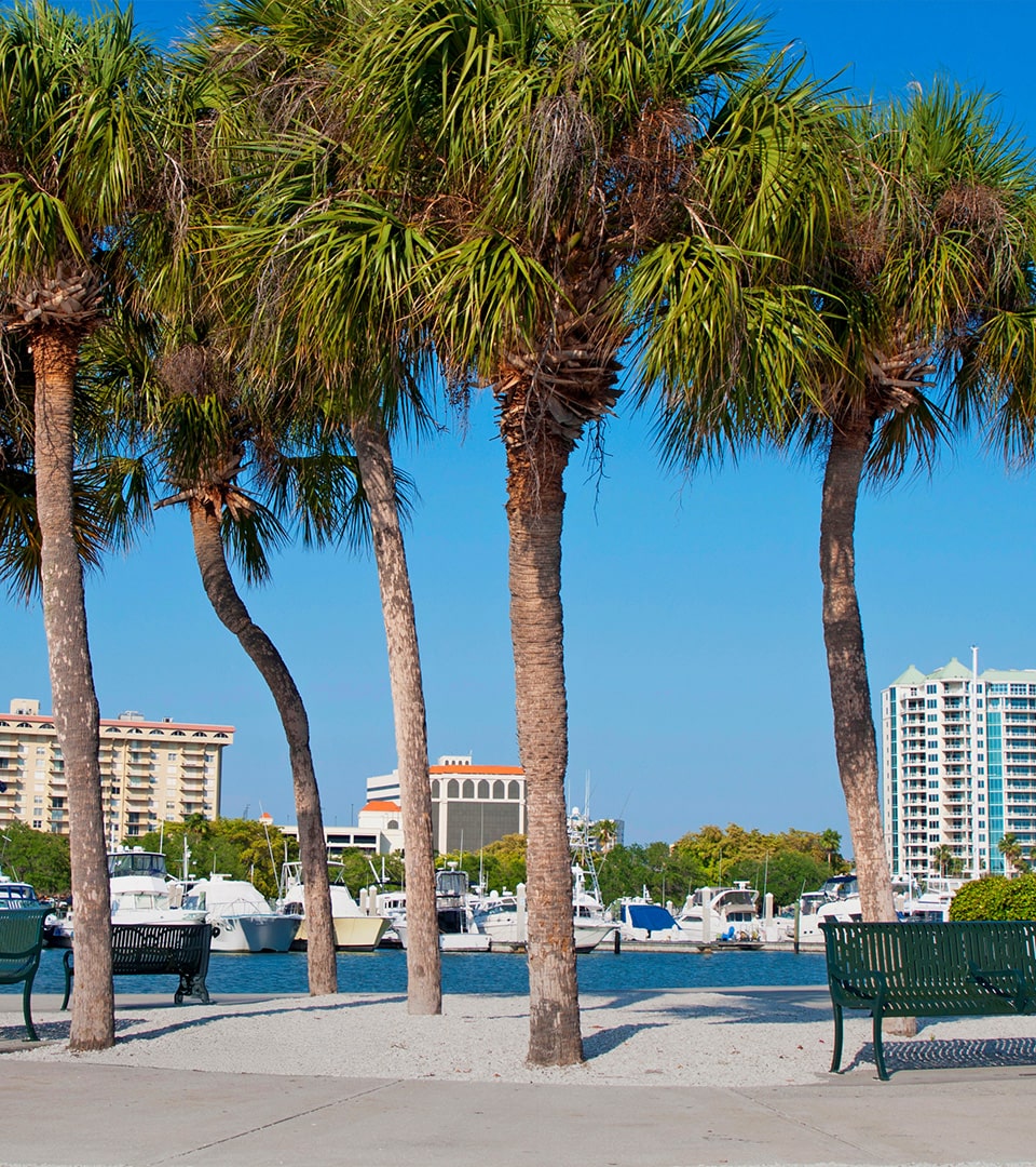 Sarasota Waterfront downtown