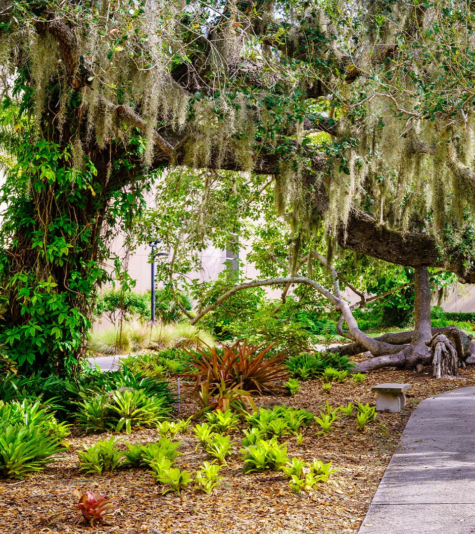 Sarasota Gardens and Nature